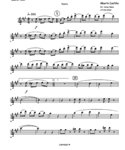 Preview de RONDINELA - Partituras y Pista Musical para Instrumentos-Bb-2