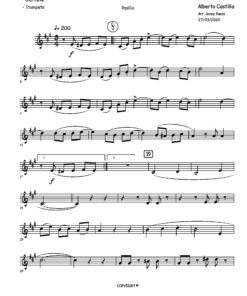 Preview de RONDINELA - Partituras y Pista Musical para Instrumentos-Bb