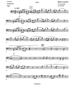 Preview de RONDINELA - Partituras y Pista Musical para Instrumentos-C-Low